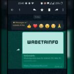 WhatsApp 測試訊息反饋功能, 提供 6 款 Emoji 選擇